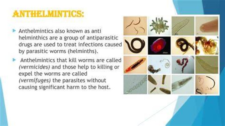 How are anthelmintic drugs administered?