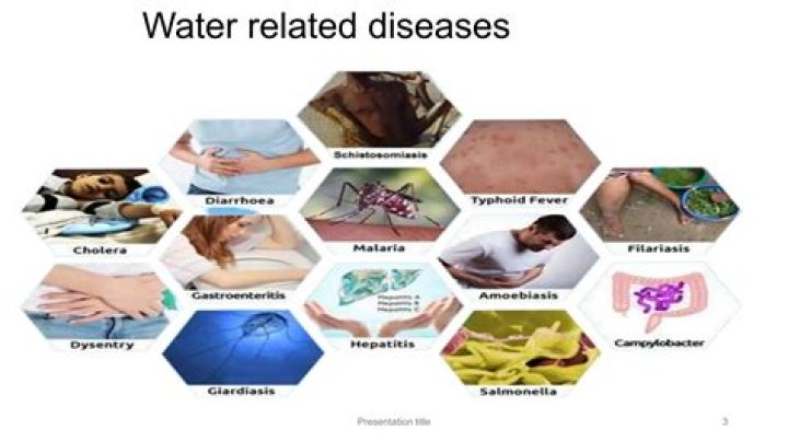 How water borne diseases spread?