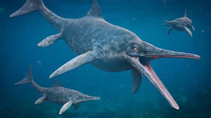 When did ichthyosaurus live?