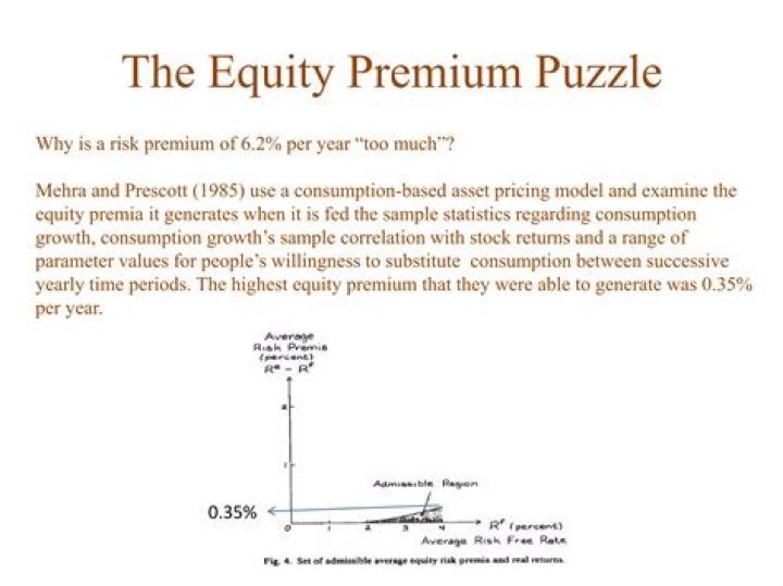 Why is the equity premium a puzzle?